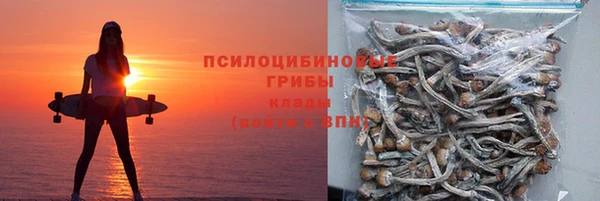 герыч Ельня