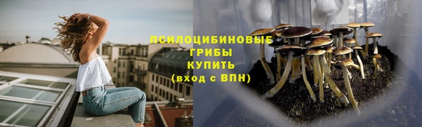 2c-b Елабуга