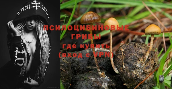 хмурый Елизово