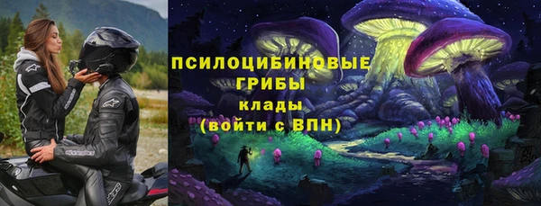 2c-b Елабуга