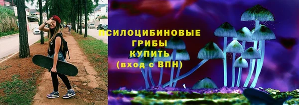 2c-b Елабуга