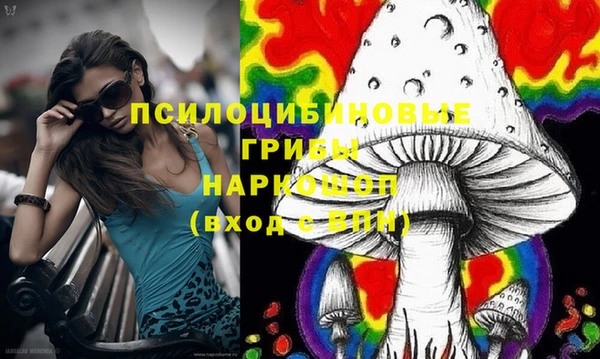 2c-b Елабуга